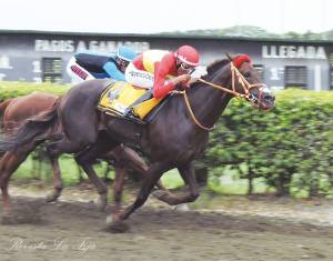 Fliquitriqui (ECU) ganando el Derby Nacional. Foto Cortesía de Revista La Fija
