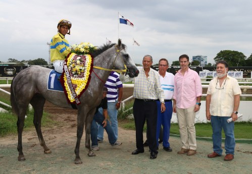 El tordillo será montado por el jinete José Lezcano. Foto Cortesía de David Beitía.
