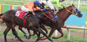 Coqueto del Ocho (PAN), aquí como tresañero, es uno de los representantes panameños en la Copa Confraternidad. Foto Cortesía de David Beitía.