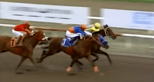 Croswell (PAN)  fué criado en el Haras San Miguel. Hipódromo Presidente Remón.