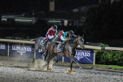 Dos veces ganador del Handicap de las Américas y el Clásico del Caribe 2013. Foto Hipodromo de las Américas.
