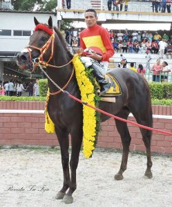 Fliquitriqui (ECU) con los colores del Stud España. Foto Cortesía de Revista La Fija.