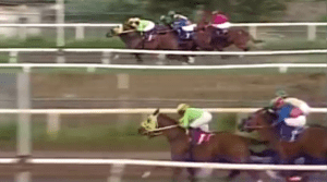 El Magnanimo (PAN) , velocista del Stud Don Apa. Hipódromo Presidente Remón.