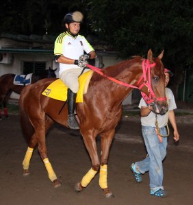 Malala (VEN) es la única representación venezolana en el Dama del Caribe. Foto Cortesía de David Beitía.