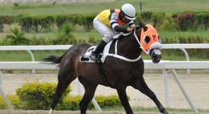 Manchester (VEN) fué criado en Venezuela por César Paparoni.