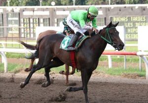 Monkey Business (PAN) es la triplecoronada entre potrancas . Foto Cortesía de David Beitía.