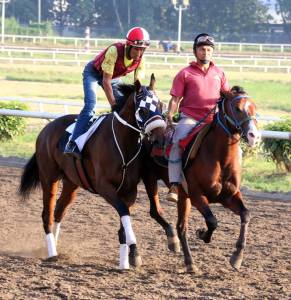 Famus Palo (MEX) trabajando en la pista del Hipódromo Presidente Remón. Foto Cortesía de David Beitía.