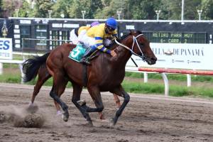 El Respetuoso (PAN) entra a la Copa en sustitución de Tomas Gabriel (PAN). Foto Cortesía de David Beitía.