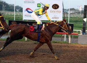 Salustio (USA) es ganador de la Copa Invitacional 2013. Foto Cortesía de David Beitía