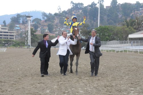 Supremo (VEN) es un hijo del ganador de la Copa Velocidad 2008 King Seraf (VEN). Foto Cortesía Hipicomputo2000