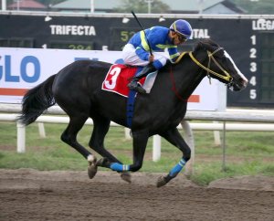 Vicki (PAN) es la nueva Dama del Caribe. Foto Cortesía de Egbert Lewis
