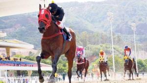El caballo mayor ganó fácilmente el Clásico Simón Bolivar edición 2015. Foto Cortesía de Entorno Inteligente