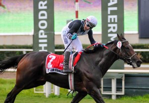 Furia Cruzada (CHI) aquí ganando en Argentina el Clásico Gilberto Lederma, llegó tercera en su debut en Europa. Foto: Hipódromo de Palermo