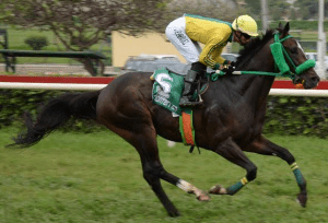 Street Lolo (ARG) es ganador de dos en el Hipódromo de Monterrico Foto Cortesía de Stud Doña Licha