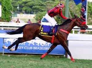 Universal Law (BRZ) es uno de los representantes de Brasil en el GP Latinoamericano 2016