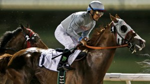 California Chrome (USA) es el favorito para ganar el Dubai World Cup 2016. Foto Cortesia de Kamran Jebreili