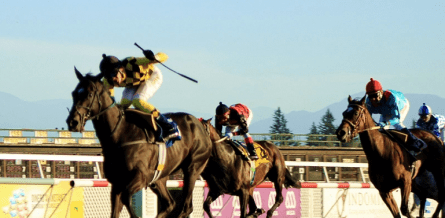 Flyer (CHI) es el representante del Club Hipico de Santiago Foto Cortesia de Club Hipico de Santiago