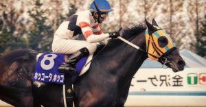 El veterano corredor vá a participar en su tercera copa. Foto Cortesía de Summerhill Stud