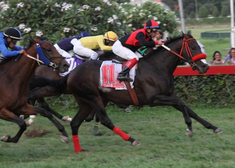Nieto Mireyo (PER) una de las cartas peruanas. Foto Cortesía de El Informativo Hipico