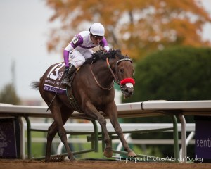 Nyquist (USA) mantuvo su invicto en el Florida Derby. Foto Cortesia de EquiSport / Wendy Wooley