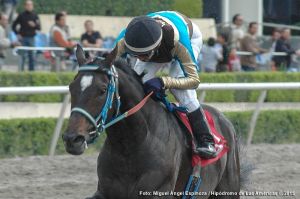 Diamante Negro (MEX) es el único ejemplar en ganar el Handicap de las Américas en tres ocasiones. Foto Cortesía Miguel Angel Espinoza