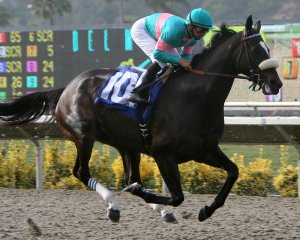 Zenyatta con Mike Smith Foto Cortesia de Don BoomerRace horse 
