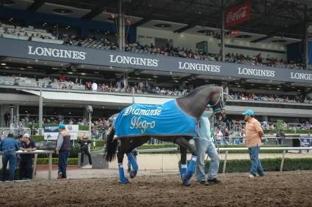 Diamante Negro (MEX) recibiendo su bien merecido homenaje. Foto Cortesía de Miguel Angel Espinoza