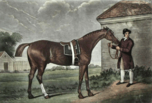 Eclipse (invicto campeón británico) Tomado de Wikipedia (por George Stubbs)