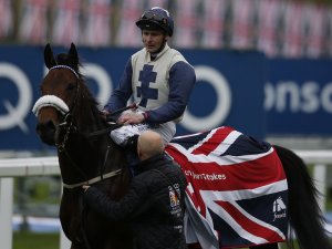 Fascinating Rock (IRE) Foto Cortesía de SportingLife