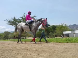 El Hipódromo Los Laureles está localizado en Chiquimula, Guatemala Foto Cortesía de Francisco Morataya