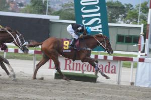 Ocean Bay (VEN) ganando el Cria Nacional Foto Cortesía de Jorge Yánez