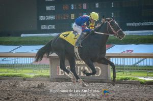 Balat (MEX) con Alfredo Barajas. Foto Cortesía de Miguel Angel Espinoza