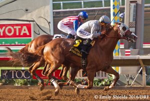 California Chrome superando a Dortmund Foto Cortesía de Emily Shields
