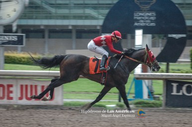 Gone As Wind (USA) Foto Cortesía de Miguel Angel Espinoza