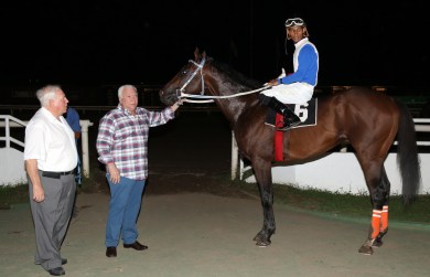 Perpetrador (ARG)  Foto Cortesía Hipódromo Presidente Remón
