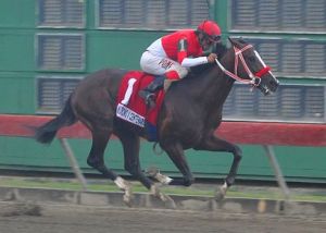 Tango Dancer (DOM) alcanzó la triple corona dominicana Foto Cortesía de Robert Sánchez