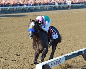 Arrogate (USA) ganando el Travers. Foto Cortesía de Coglianese Photos/Chelsea Durand