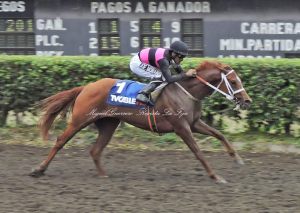 Pasionatta (ECU) pertence al Stud David y Daniel. Foto Cortesía de Miguel Guerrero para Revista La Fija