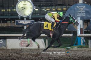 Dobby Asquifar ganando el Clásico Carlos Gomez. Foto Cortesía de Miguel Angel Espinoza