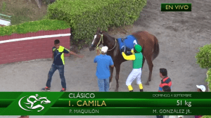 Camila (ECU) tiene dos victorias en cuatro presentaciones con dos segundos.