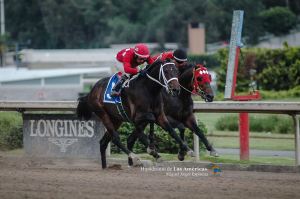 Huitlacoche (MEX) sobrepasando a Gone as Wind (USA) en los metros finales del Clásico Cabalgata. Foto Cortesía de Miguel Angel Espinoza