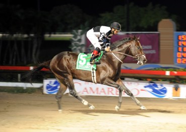Exclusivo ganando el Clásico Antonio Fernández Castrillón. Foto Cortesía de Hipi-Photo