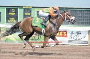 Franfield (JAM) ganando en Governor General Stakes. Foto Cortesía de Jamaica Observer