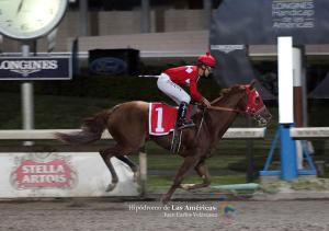 Jiribilla (MEX) conquistando el Futurity Mexicanos Hembras. Foto Cortesía de Miguel Angel Espinoza