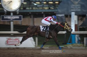 Lady Violet (MEX) Foto Cortesía de Miguel Angel Espinoza