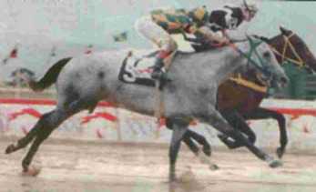 highsecurity_evaristo