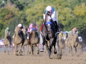 Arrogate (USA) Foto Cortesía de USA Today