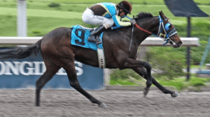 Diamante Negro de dosañero. Foto Cortesía de Miguel Angel Espinoza