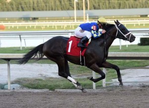 Neolithic (USA) Foto Cortesía de Leslie Martin