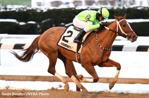 War Story (USA) Foto Cortesía de NYRA